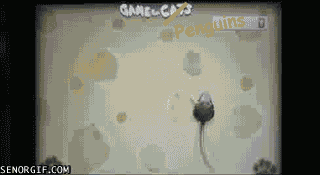 Гифки разные Гифки разные