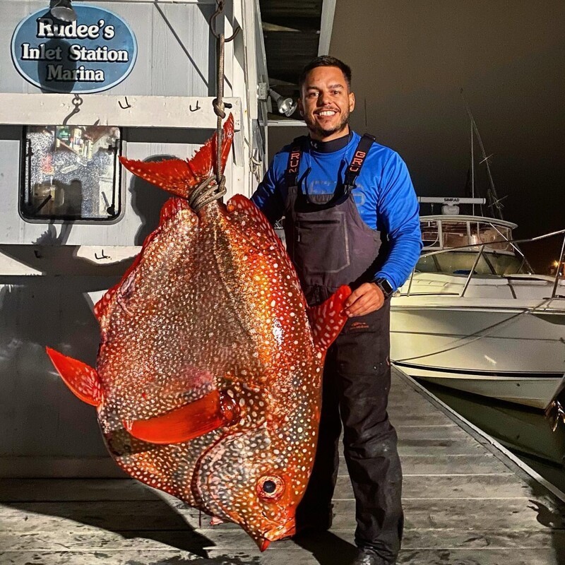 Рыбаки поймали «теплокровную» рыбу весом 65 кг