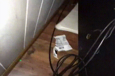 Кошачьи гифки