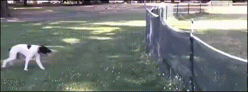 Просто гифки, всякие и разные