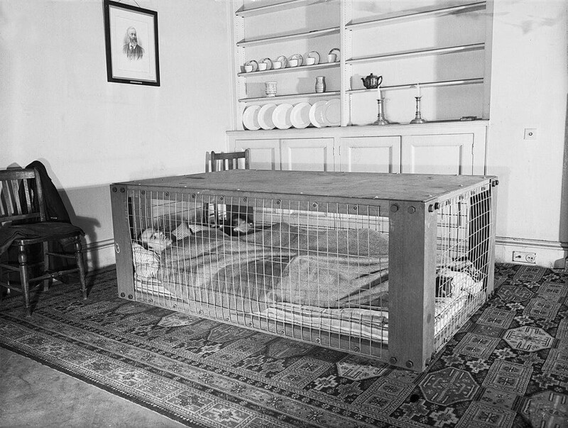 13. Британская пара спит в «Убежище Моррисона»