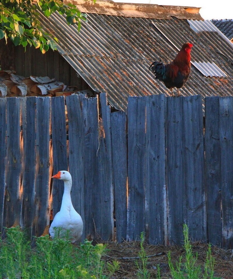 Ударим позитивом по... негативу!