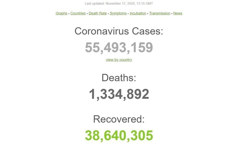 У коронавируса день рождения. COVID-19 исполнился год