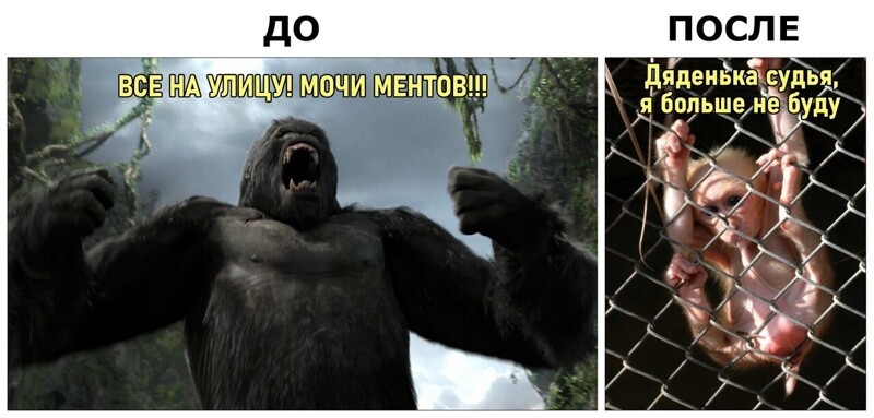 Политические комментарии из инета