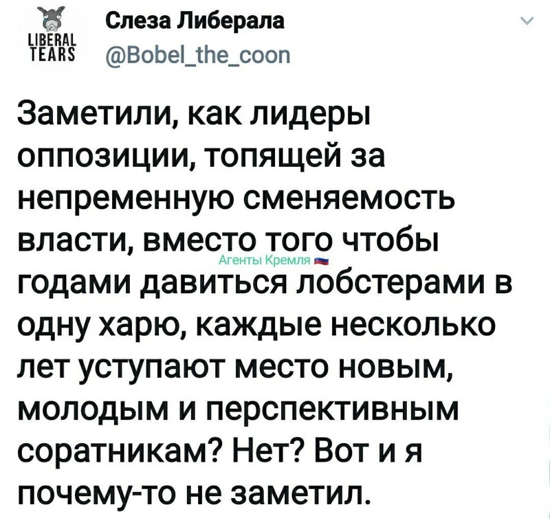 Политические комментарии из инета