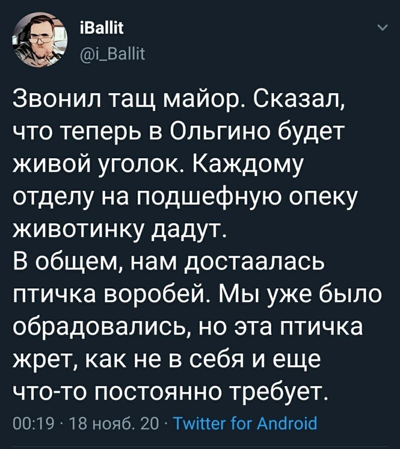 Хорошо, что ещё соболь не достался! Жрет, как не в себя, так ещё и гадит, где попало