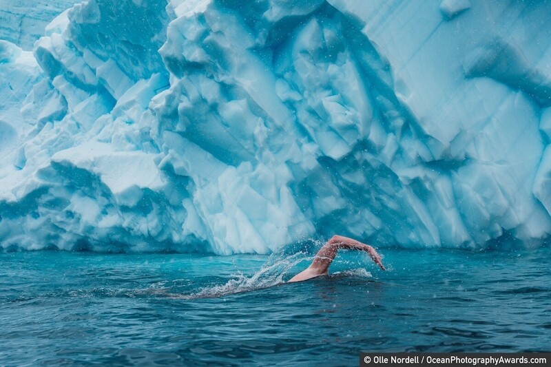 Пловец и защитник океана Льюис Пью плывет по Антарктике, фотограф Olle Nordell
