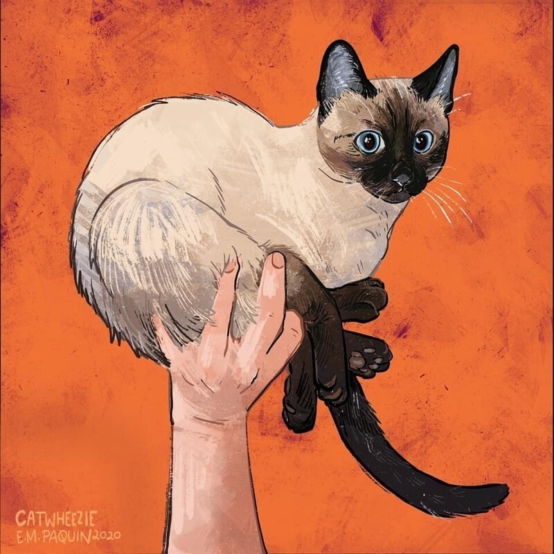 Художница рисует котов из мемов
