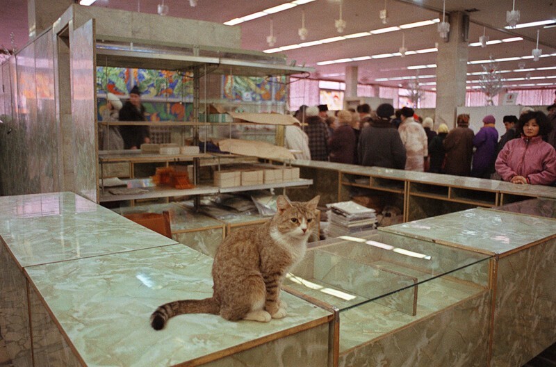 1992. 7 января. Сотни покупателей выстраиваются в очередь за маслом и молоком, пока кошка ждет у пустого прилавка в московском гастрономе на Таганке. В городе по-прежнему ограничены поставки продовольствия, но рынки процветают, хотя и с гораздо более