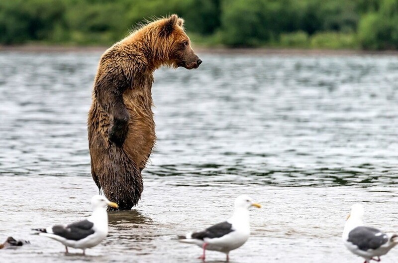 Ударим позитивом по... негативу!