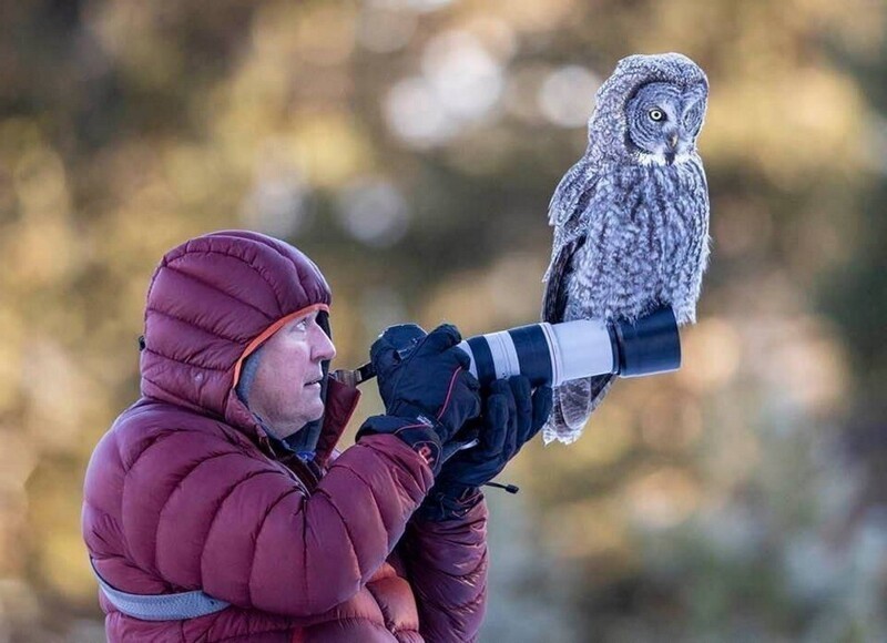 Фотоподборка