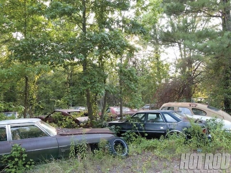 В заброшенном дилерском центре обнаружили сотни ржавых автомобилей, и их все еще можно купить