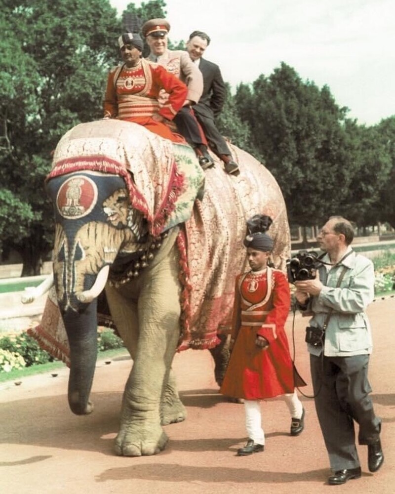 Маршал Жуков на слоне, во время визита в Индию, 1957 год