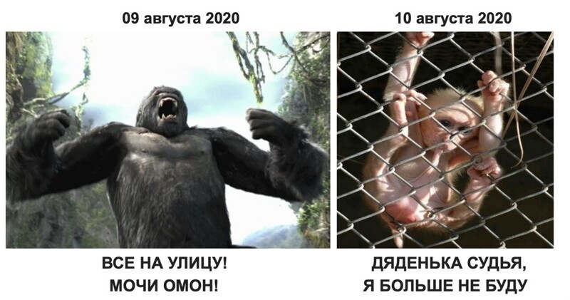 Политические комментарии из инета