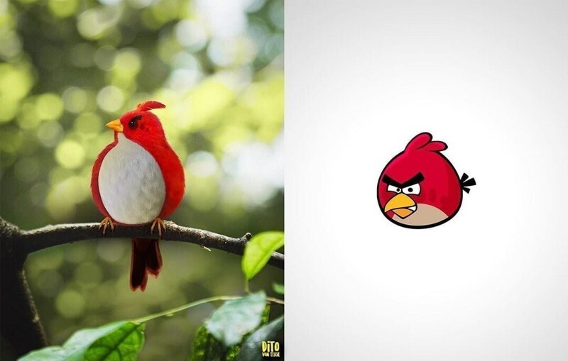 Ред из Angry Birds