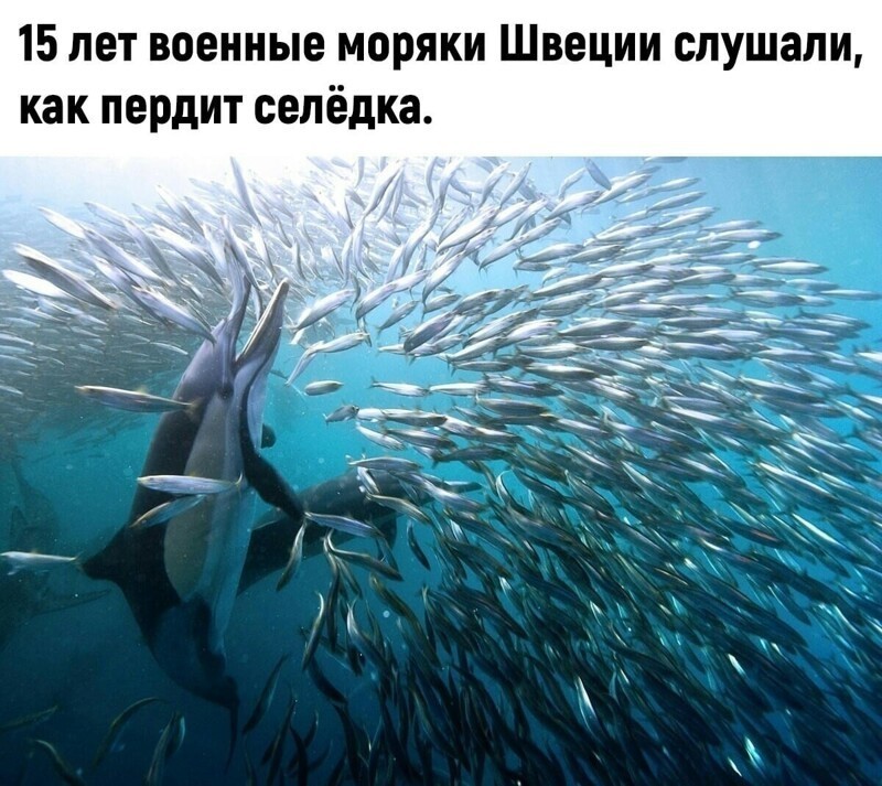 Политические комментарии 2