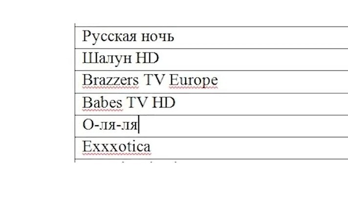 В поддержку Дзюбы: тульские чиновники закупили расширенный пакет кабельного ТВ с каналами 18+