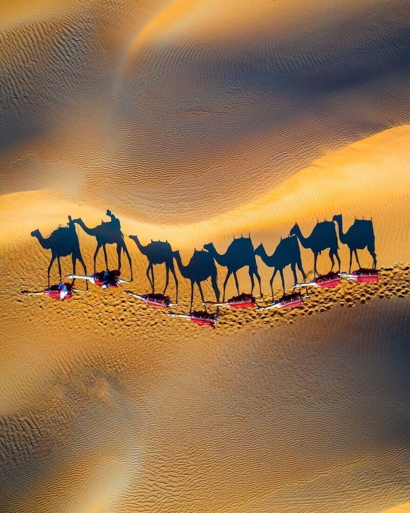 "Поездка на верблюдах на закате", Дубай, ОАЭ, @pixelpann