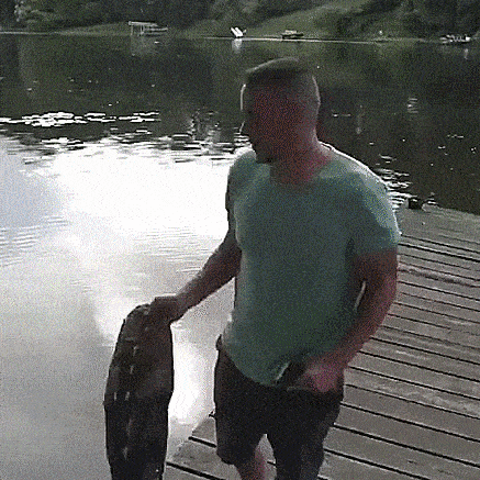 Розыгрыш с фейковой головой крокодила, который пошёл не по плану Розыгрыш с фейковой головой крокодила, который пошёл не по плану