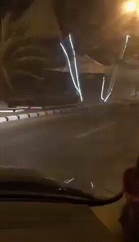 Собачьи гифки