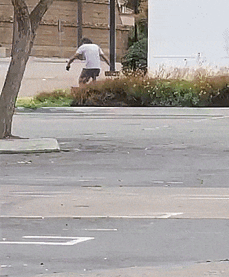 Собачьи гифки