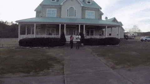 Собачьи гифки