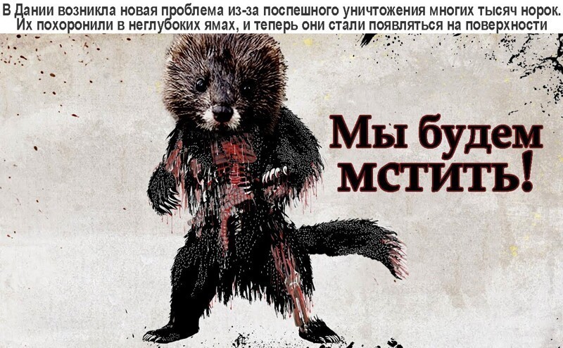 Политические комментарии 2