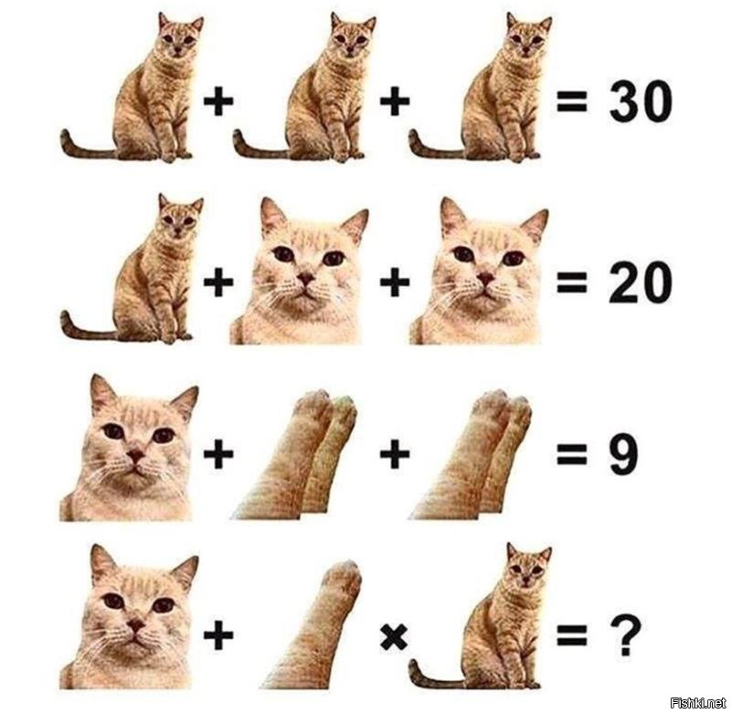 Какие картинки есть