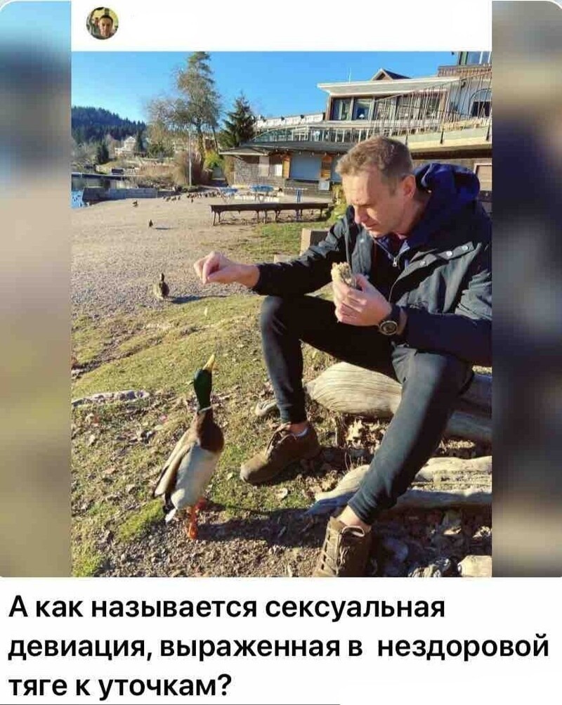 Политические комментарии из инета