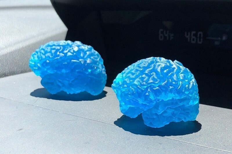 28. Мозги, напечатанные на 3D-принтере