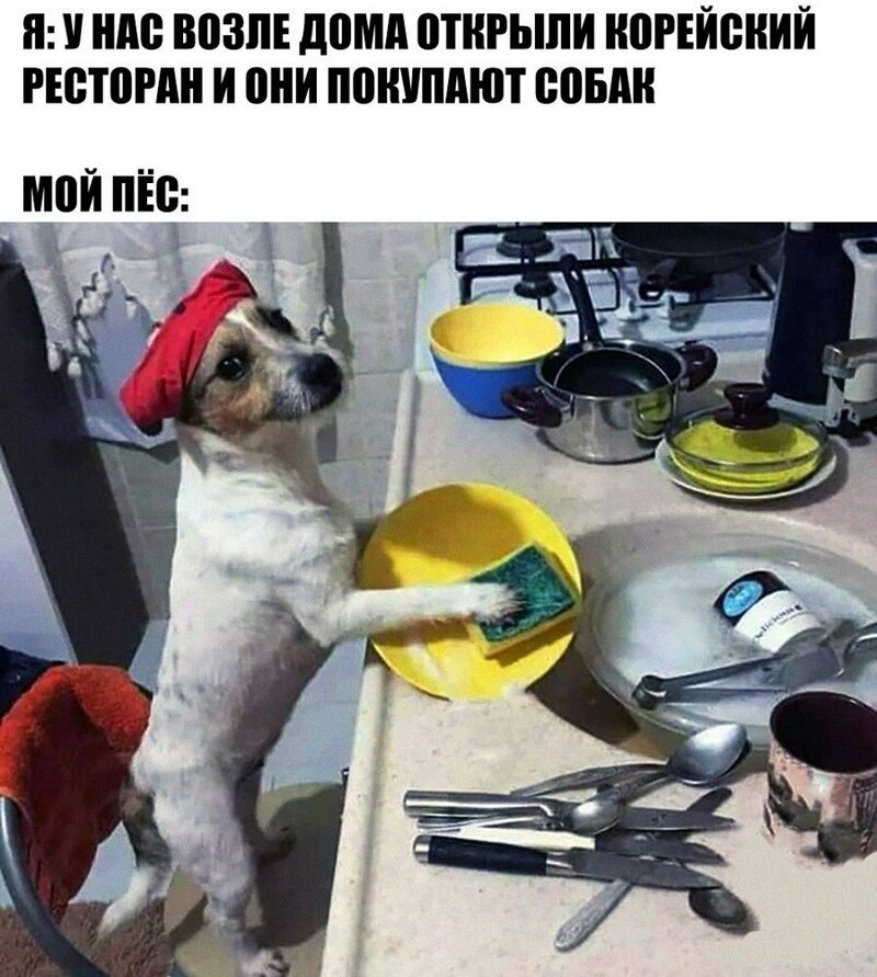 Ударим позитивом по... негативу!