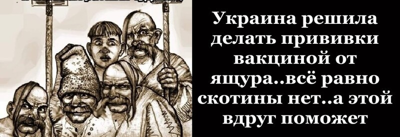 Политические комментарии из инета