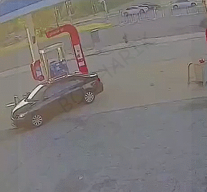 Гифки Гифки