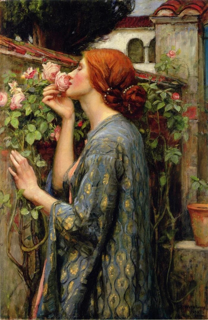 Джон Уильям Уотерхаус – «Моя сладкая роза», 1908