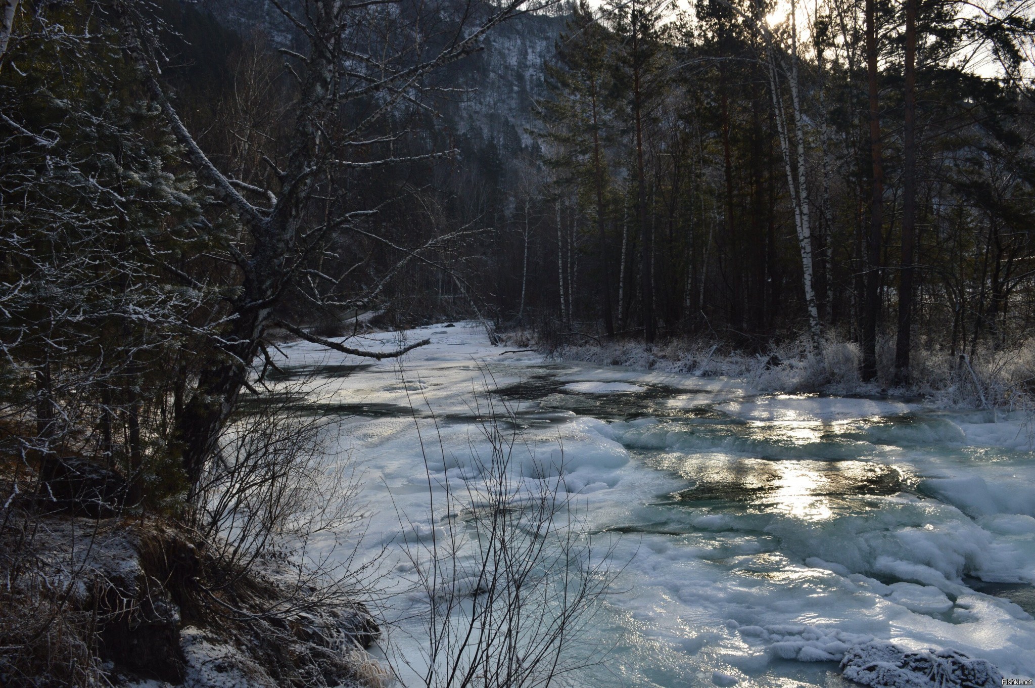 Мороз крепчает, у реки минус 25, даже любопытно подымется она выше дороги, кл...