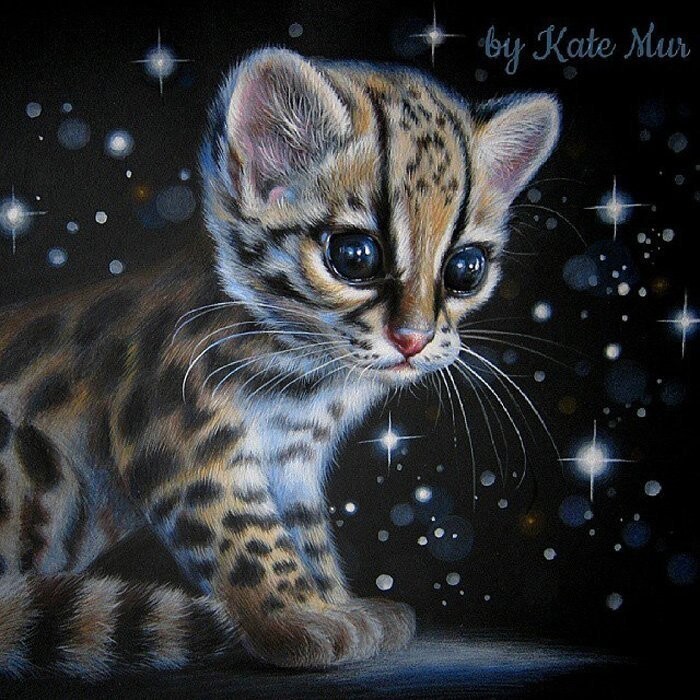 Kate kitten. Кейт Мур художница. Kate mur картины. Очаровательные животные от художницы Kate mur. Мур арт кот.