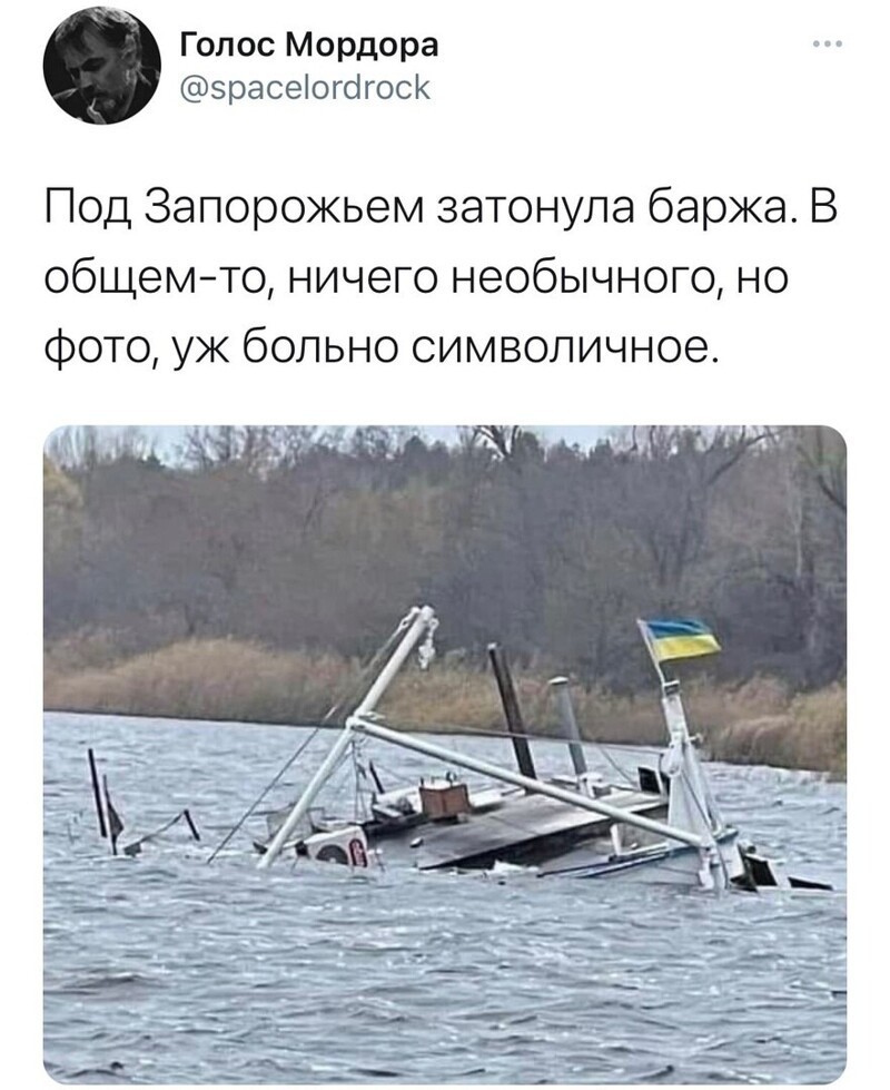 О политике и не только