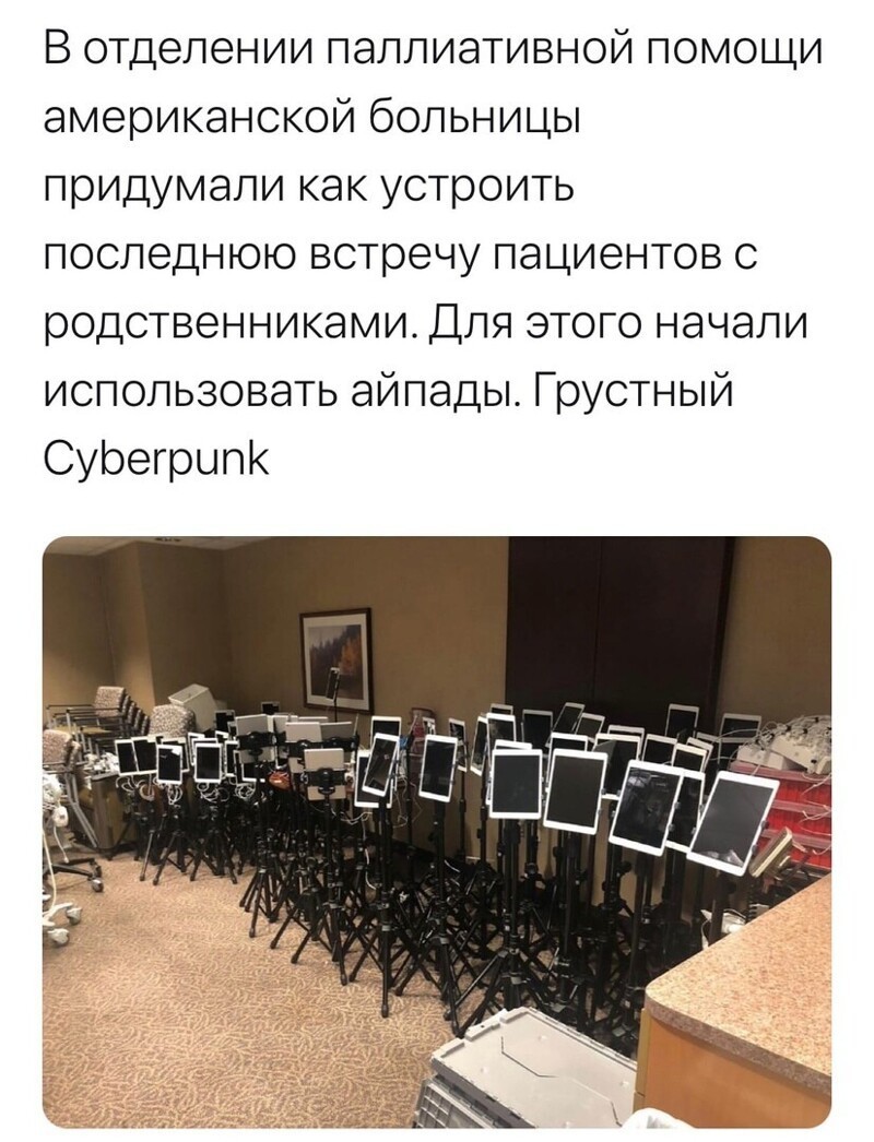 О политике и не только