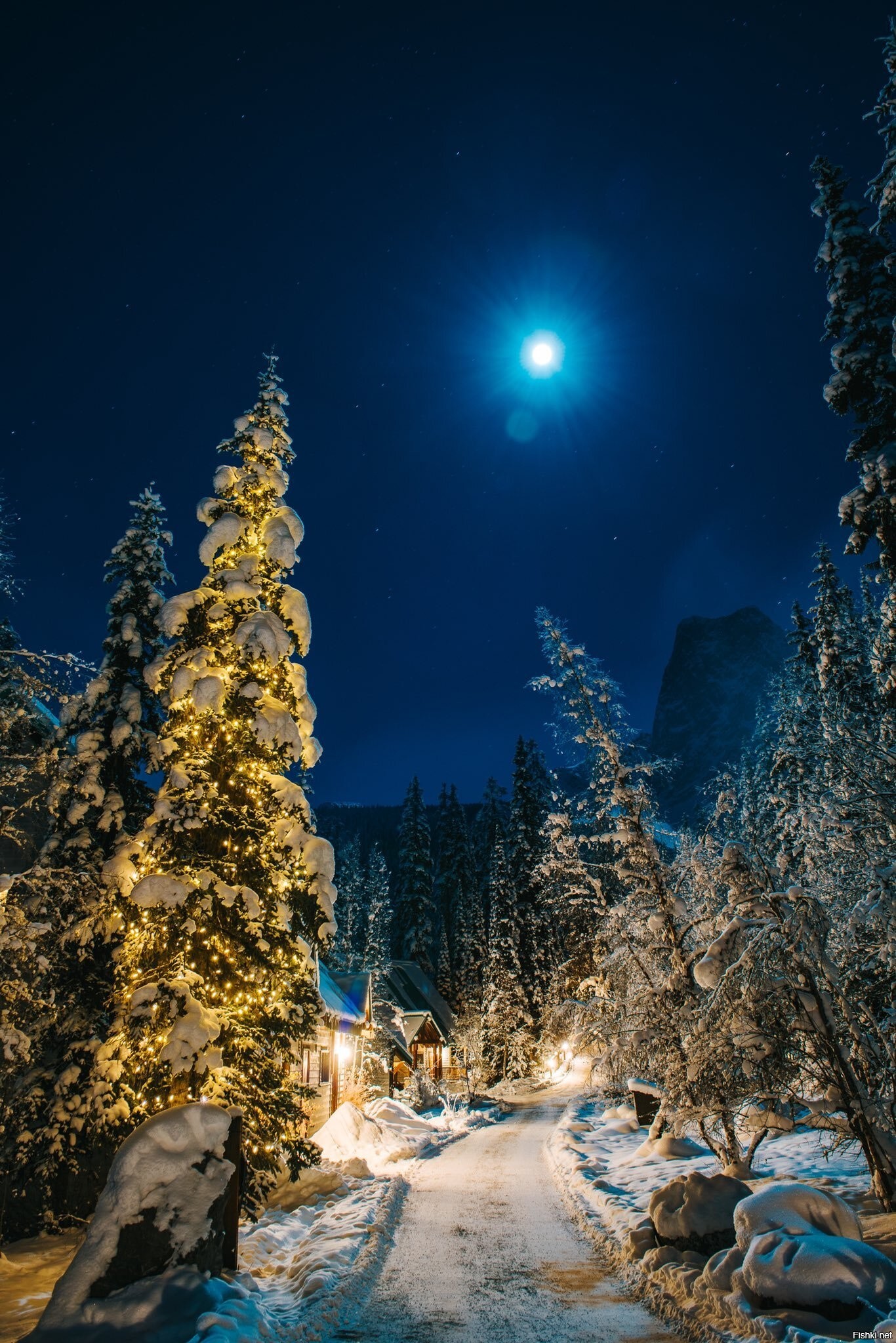 Красивая зима ночь. Зимняя ночь. Зимний ночной пейзаж. Зимний пейзаж ночью. Красивая зима.