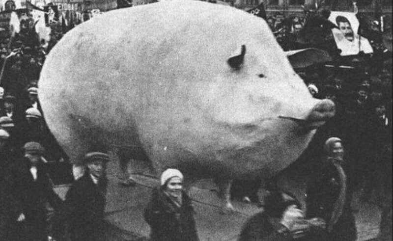Поросенок из папье-маше на первомайской демонстрации, символизирующий успехи и достижения в животноводстве, Москва.