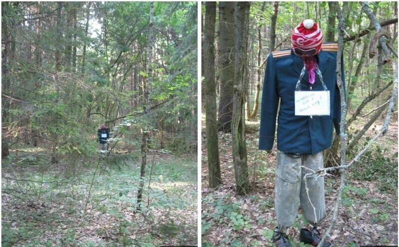 Надпись - не собирайте грибы в этом лесу