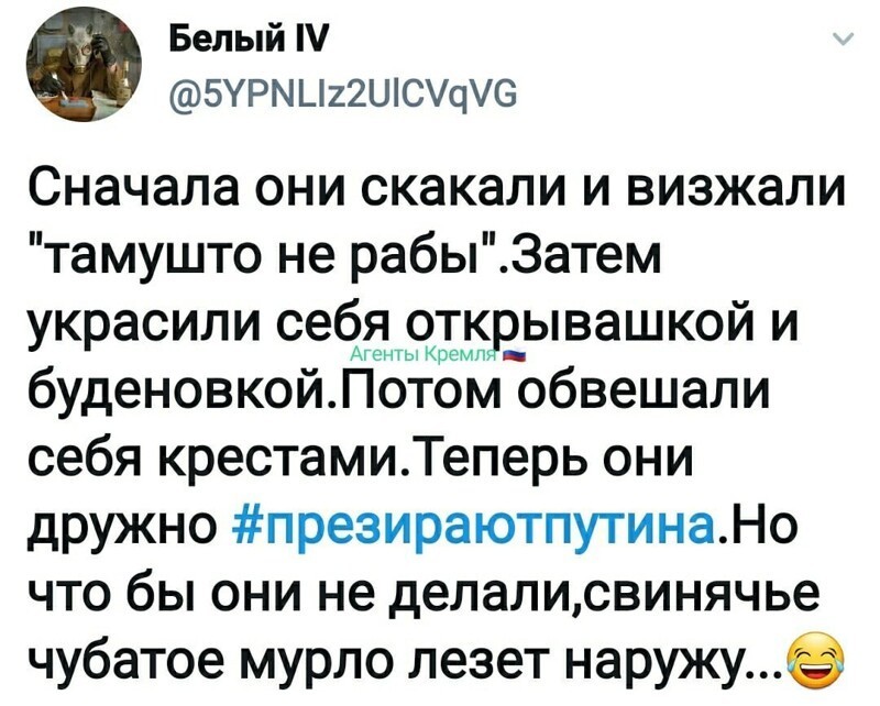 Политические комментарии из инета