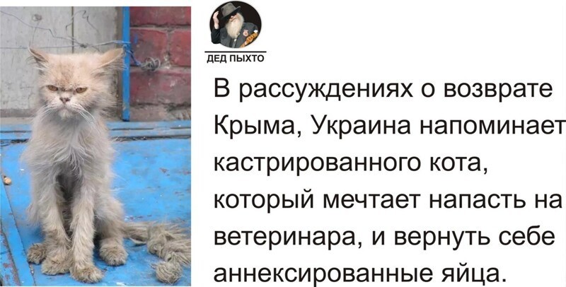 О политике и не только
