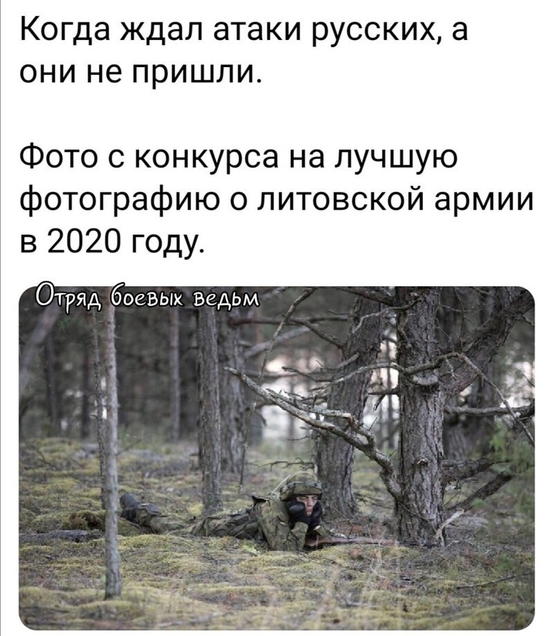 Политические комментарии из инета