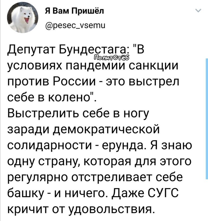 О политике и не только