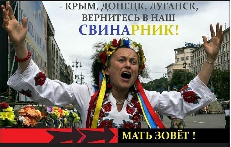 Политические комментарии из инета