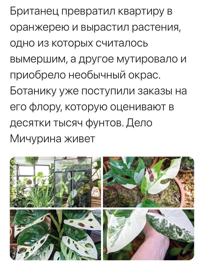 Политические комментарии 2