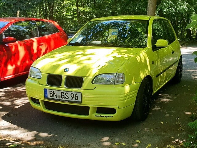 Автовсячина