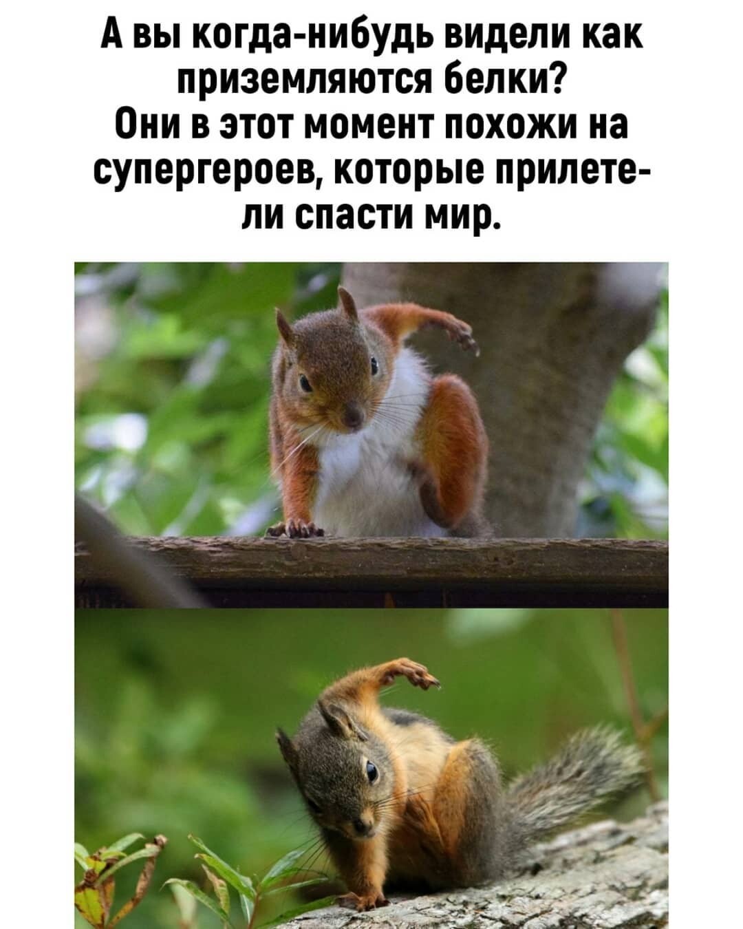 Доза позитива! от Капитошка за 12 декабря 2020