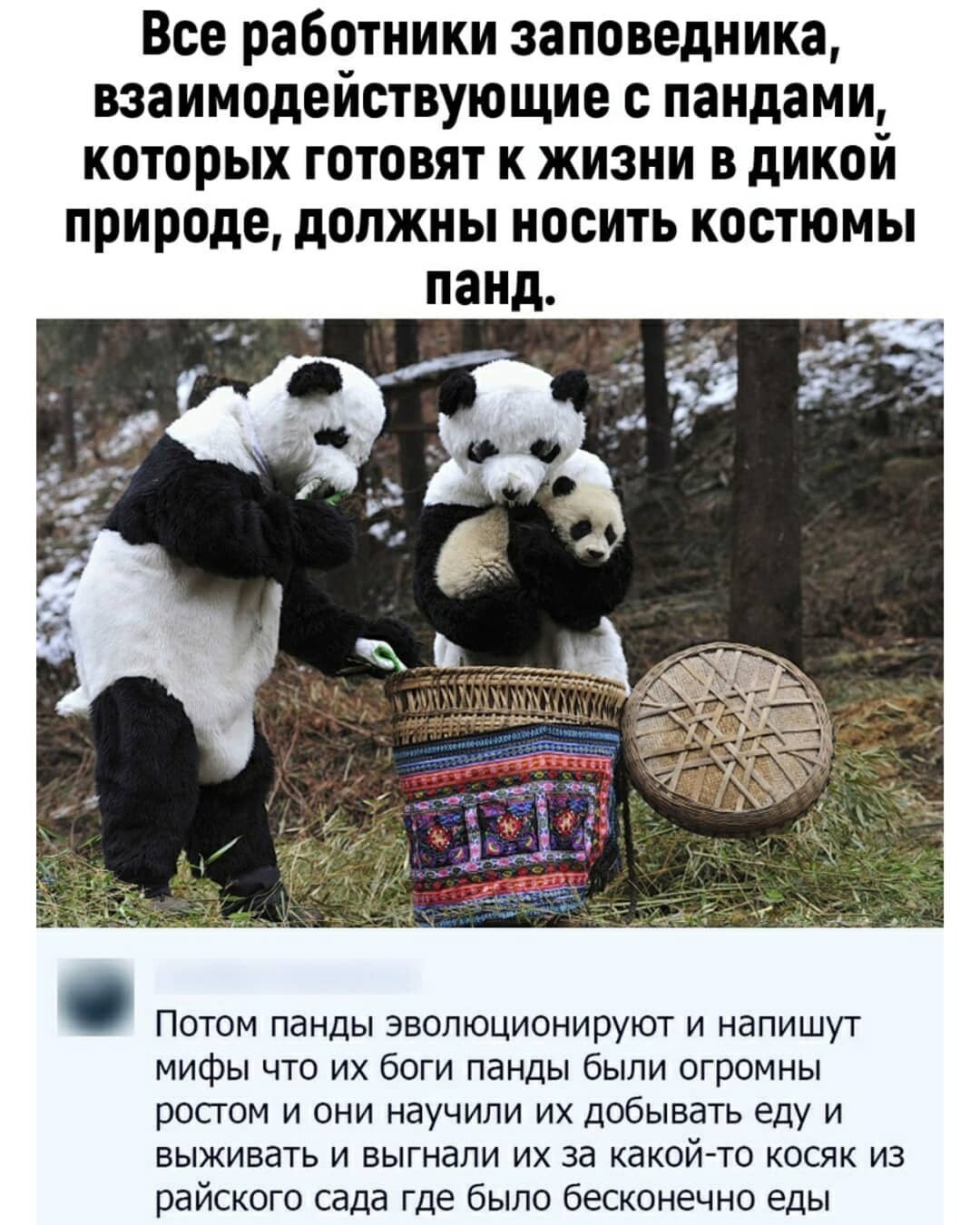 Доза позитива! от Капитошка за 12 декабря 2020